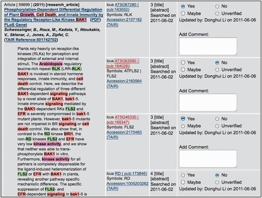PubSearch gene name recognition interface. The left panel displays article abstract with various entities (gene name: e.g. FLS2, species name: e.g. Arabidopsis and keywords: e.g. kinase activity) highlighted. The highlighted entities are automatically identified by PubSearch. Candidate gene identifiers suggested by PubSearch are displayed in center panel. The right panel allows curators to record the results of manual verification. In this example, the symbol FLS2 in the abstract is mapped to two gene identifiers: AT5G63580 and AT5G46330. Curators link FLS2 to the correct gene identifier by analyzing the context in the abstract, as well as existing annotations to these two genes. Due to space constraint, this figure only displays a partial list of candidate gene identifiers suggested by PubSearch. For example, BAK1, which corresponds to AT4G33430 is not shown in this figure.