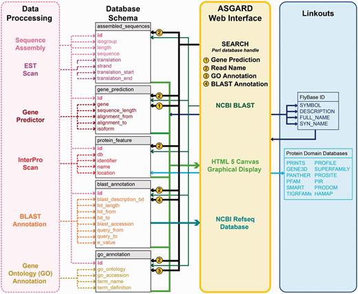 ASGARD database schema. Schematic of database implementation showing destination tables (gray/white) for each data type created by the data processing pipeline (pink), how users may access those data via the ASGARD web interface (yellow) and sources of linkout data provided by the ASGARD search results displays (blue). See main text for details.
