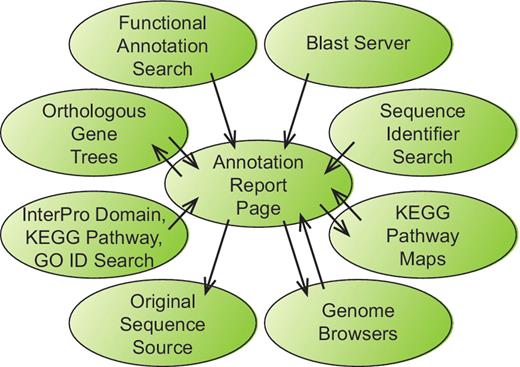 Information flow within the BFGR website. The Annotation Report Page maintains a central position within the organization of the BFGR database website. Features in tracks on the genome browsers, BLAST results and multiple other search results all provide links to sequence Annotation Report Pages. Additionally, Annotation Report Pages present graphical KEGG pathway maps and orthologous gene trees have links to the Annotation Report Pages for other sequences. Links also exist from Annotation Report Pages to the BFGR genome browsers and the original sequence source of the sequence.