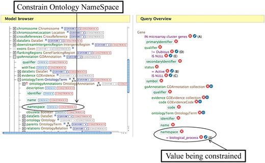 An example of editing a template using the Query Builder. The Model Browser (on the left) displays the attributes for the GOAnnotation object in the Gene→GO Terms template. Clicking on the ‘CONSTRAIN→’ button next to the namespace box allows one to constrain on the ontology namespace. The Query Overview (on the right) shows the ontology namespace being restricted to the value ‘Biological Process’.
