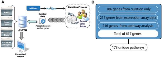 (A) Workflow for retrieval of articles, curation and extraction of genes from literature, microarray data and gene interpolation for pathway analysis. (B) Total number of genes, their associated original sources and number of unique pathways represented.