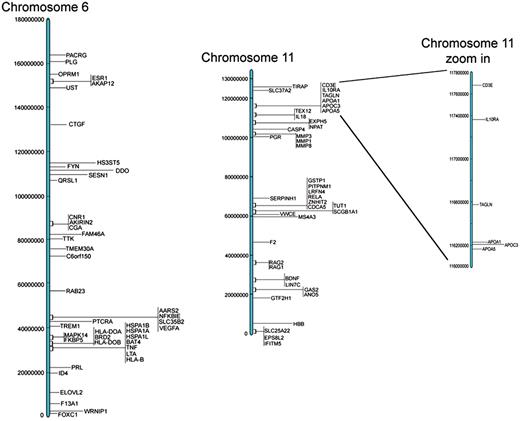 Representative examples of chromosomal location of genes for chromosomes 6 and 11.