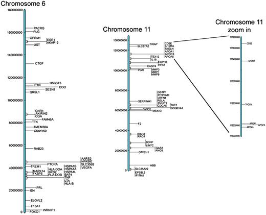 Representative examples of chromosomal location of genes for chromosomes 6 and 11.