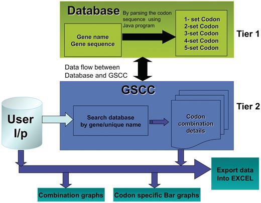 GSCC core architecture. Overview of the GSCC two tier architecture. Tier 1: The database contains the main gene names and codon gene sequences of 5780 genes taken from S. cerevisiae. Using the codon gene sequence information, we quantitated the number of individual codons as well as all two set, three set, four set and five set codon combinations in each gene. Tier 2: The GSCC user visual interface takes user defined input (gene name or search string) and searches the database for a matching gene name with the given search string and then retrieves that gene's codon sequences (individual codons as well as all two set, three set, four set and five set codon combinations). Users can visualize the codon sequences as bar graphs and as combination graphs. (Refer to Figure 3 for combination graphs). Users can also export the codon information into Excel.