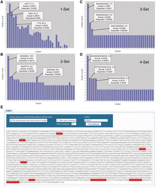 GSCC visual output demonstrating codon combinations in YEF3. Bar graphs (A–D) of single, double, triple, and quadruple codon combinations in the YEF3 gene, respectively. Each bar represents a codon. When the user places the mouse pointer over the each bar (codon) in GSCC, it shows the quantitated values of the codon. In all the graphs, the bars are sorted in the descending order of (actual–expected frequency). Codon painting (E) takes user input information, consisting of individual codons or codon runs, and highlights these occurrences in the gene sequence.