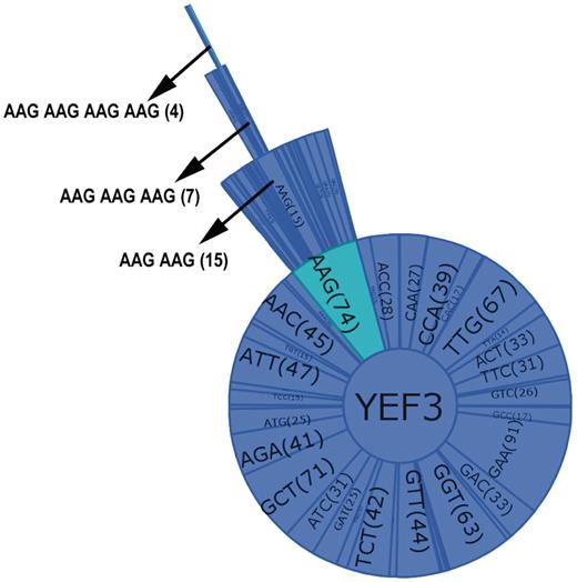 Combination graph of YEF3. Each sector of the graph represents a codon with the name and the number of each codon in parenthesis. The selected codon combination (as shown by arrow in the Figure) also details the number of occurrences in each gene.
