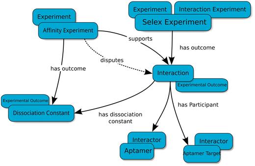Basic type-relation map used by the Aptamer Base to describe SELEX experiments. The Interaction Experiment type ‘has outcome’ an Interaction. Each Interaction ‘has participant’ at least two Interactors (Aptamer and Aptamer Target). The Affinity Experiment type ‘has outcome’ a Dissociation Constant that either ‘confirms’ or ‘disputes’ an interaction. Blue ellipses denote types and arrows represent properties between topics. Overlapping ellipses represent the multiple types associated with a topic. For more details visit http://aptamerbase.semanticscience.org/?q=node/1.