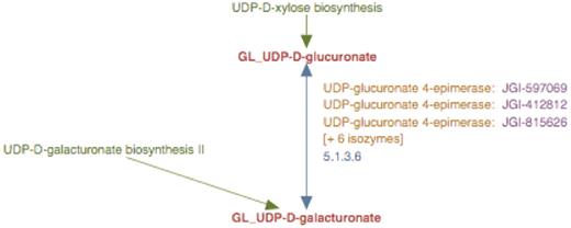 The enhanced representation of UDP-d-galacturonate biosynthesis I pathway starting from UDP-d-glucuronate in prototype Populus PGDB. The two metabolites in this pathway are linked by green arrows to two other pathways, UDP-d-xylose biosynthesis and UDP-d-galacturonate biosynthesis II.