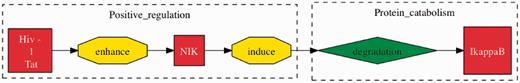 TM interaction involving two or more participants. This event was extracted from the sentence “HIV-1 Tat can substantially enhance the capacity of NIK to induce IkappaB degradation” (32). Here, we can see that the full interaction is identified by TM, across multiple participants and events. The HHPID documents this same interaction as ‘Tat enhances mitogen-activated protein kinase kinase kinase 14’, which is clearly a misrepresentation of the actual full interaction.