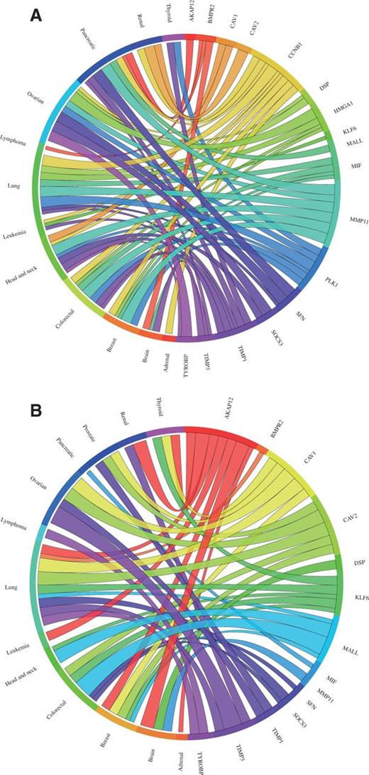 Circos plots showing the meta-change in gene expression in relation to corresponding cancer types. The plot shows the meta-up- and meta-downregulated genes of the validation dataset from Kettunen et al. (29): (A) The expression of the genes DSP, CCNB1, PLK1, MIF, HMGA1, SFN, TIMP1 and MMP11 was found to be upregulated, whereas (B) the expression of the genes AKAP12, BMPR2, COPEB/KLF6, SOCS3, BENE/MALL, TIMP3, CAV1, CAV2 and TYROBP was found to be downregulated in lung cancer consistent with the published results. Each connection between a gene and a cancer type indicates a statistically significant mean up- or downregulation for that cancer type derived from a number of combined array studies for cancer tissue versus normal tissue. The weight of the connection corresponds to the magnitude of the meta-change in gene expression.