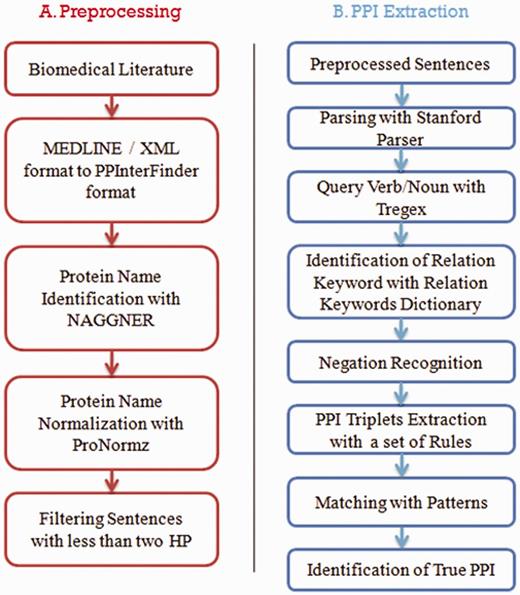 Work flow of PPInterFinder.