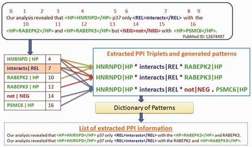 Algorithm to extract PPI triplets from complex sentences with more than two proteins.