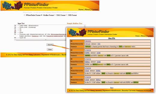 Screenshot of PPInterFinder showing input and extracted PPI pairs.
