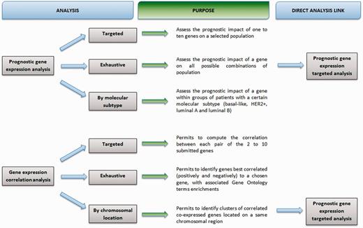 bc-GenExMiner 3.0 flowchart.