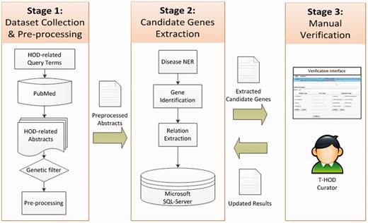 The flowchart of T-HOD construction.