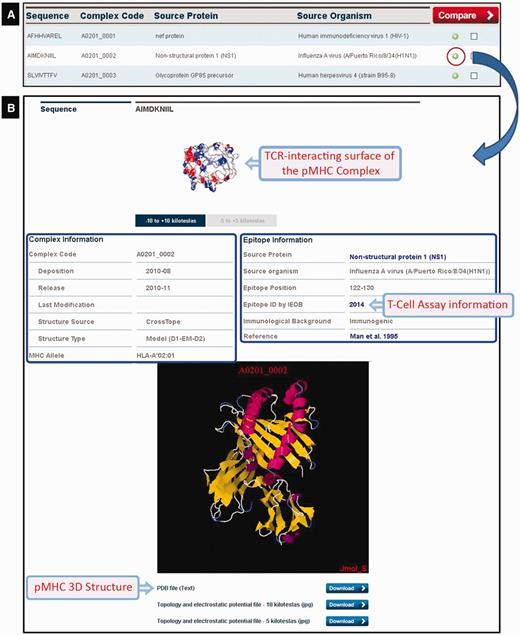 CrossTope DB output. (A) Partial list of recovered complexes in a search by MHC (HLA-A*02:01). (B) Clicking the plus icon, the user can access information regarding both the epitope (manually curated) and the pMHC complex. Links to IEDB and Uniprot are also provided, as well to download coordinate and charges distribution files.