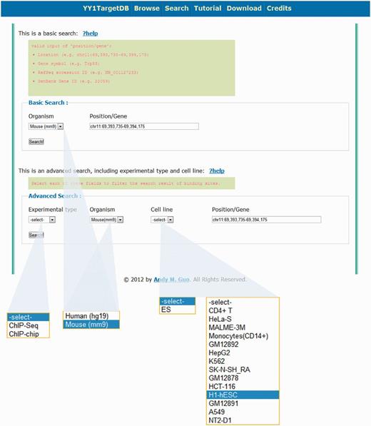 Search options for YY1 TargetDB. Users can perform basic search or advance search.