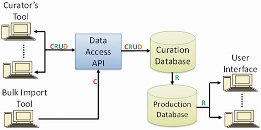PhenoMiner software components and data flow. Operations in data flow: C = create, R = read, U = update, D = delete (API = application programming interface).
