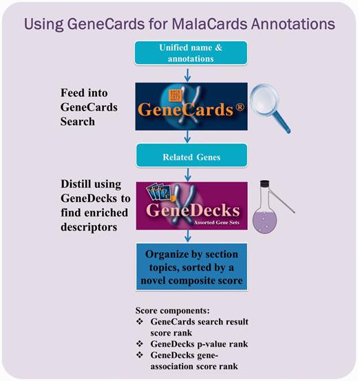 GeneCards-based annotation pipeline. Each unified disease name is fed into the GeneCards search engine to find its associated gene set, as well as publications, disease–gene associations and the corresponding contexts wherein the match occurred. The set is then forwarded to GeneDecks, which distills statistically significant descriptors (e.g. ‘cardiovascular system phenotype’, ‘apoptosis’) for the genes in the set. These shared descriptors, sorted by relevance, are featured in various MalaCards sections.
