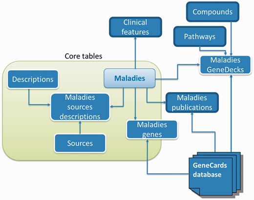 Database schema. A subset of MalaCards disease-centric relational database entities and their relationships, with associated web-card sections shown outlined in bold black.