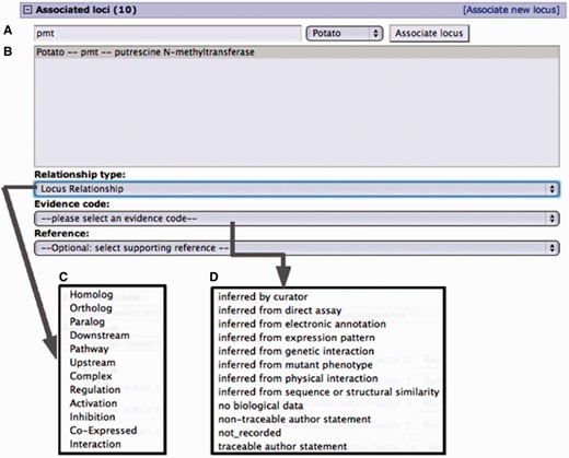 Curation interface for associating a locus from an existing locus page. (A) A search for a locus name by the organism common name. (B) Select locus from the result list pop-up menu. (C) Select the relationship type from the pop-up menu. (D) Select evidence code for the described locus relationship. Adding a reference is optional. Only references associated with the loci involved are presented in the pop-up menu.