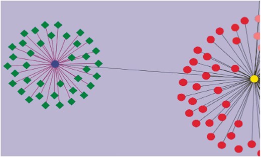 Visualization of genes associated with drought tolerance in Solanaceae. A simple example network is shown. The nodes represent genes, and the edges represent relationships between the genes. The blue circular node is WRKY 39 and the green nodes having diamond shapes are genes associated with drought, annotated in the SGN database. The purple edges connecting WRKY 39 to the other genes represent the relationship based on the evidence code ‘Co-expressed’. These genes have been curated from an article reporting a transcriptomic study of drought response genes in tomato species. The deep gray colored edge connects WRKY 39 transcription factor to WRKY 1 (yellow circular node) in a paralogous relationship. Similarly all red colored nodes are the WRKY gene family members curated in SGN. This network diagram shows the genes in the SGN database that have been currently annotated to the GO term, ‘GO: response to water deprivation’.