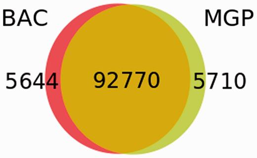 Comparison of SNP sets in the NOD Idd regions obtained by the BAC sequencing and the MGP.