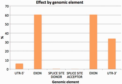 Percentage of variants affecting each genomic element (introns excluded from the chart).