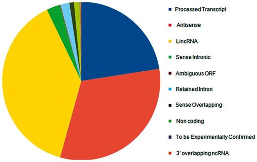 Distribution of Gencode release 12 lncRNAs according to different biotypes.