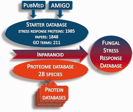 Summary of the construction of the Fungal Stress Response Database. Starter database was constructed from the stress response proteins, which were collected from AmiGO and PubMed databases. Protein sequences in the starter database were used to identify the orthologs in the proteome databases via homology search by the Inparanoid 4.1 software.
