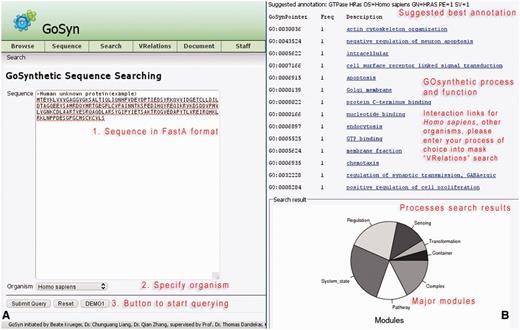 Sequence search. When the sequence of a protein is available, GoSynthetic can also be queried using its sequence searching module. Entry page (A, left): Any biological sequence of choice can be used including uncharacterized sequences of proteins with unknown function. The sequence is given in FASTA format entering the text field (see annotated sequence of instructions in red). By sequence comparison using BLAST, the GoSynthetic program performs a homology search on all sequences stored and identifies either the exact sequence as it is stored in the database or the best match closest to the entered sequence. (B, right) Results page: The very top gives the suggested annotation according to the identified best sequence match. Next all functions for the protein according to GoSynthetic are given, including GO-pointer (with GO identifier) and GoSynthetic process with link to a detailed listing of all involved proteins. Key modules identified encompass several involved processes. This is summarized in pie charts (further analysis of involved processes is possible e.g. by VRelation search).