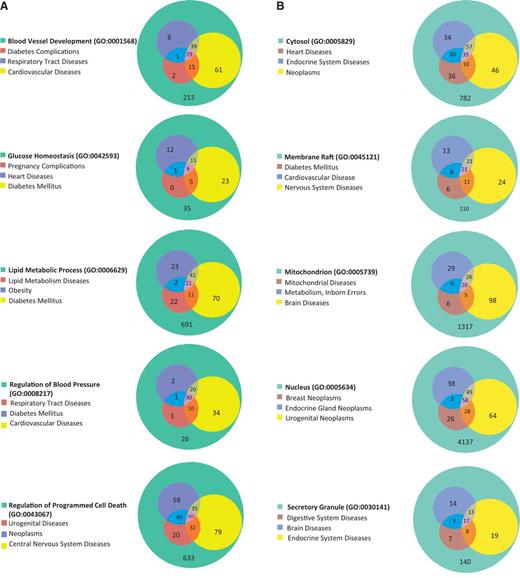 (A) The disease enrichment analysis of five BP-annotated gene lists. The three most enriched diseases from each gene list are presented in Venn diagrams. The numbers in each area represent the gene count of the section. (B) The disease enrichment analysis of five CC-annotated gene lists. The three most enriched diseases from each gene list are presented in Venn diagrams. The numbers in each area represent the gene count of that section. (C) The disease enrichment analysis of five MF annotated gene lists. The three most enriched diseases from each gene list are presented in Venn diagrams. The numbers in each area represent the gene count of that section.
