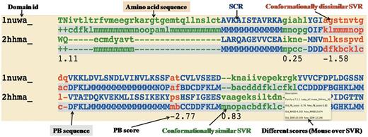 Example of one representative pairwise structural alignment. In pairwise structure-based sequence alignments, the two sequences are given as classical sequences alignments. They are identified through their domain ID, the amino acid sequence being the first written, the second line being the PB sequence. SCRs are shown in uppercase and blue. Conformationally similar and dissimilar SVRs are shown in lowercase green and red, respectively. Corresponding PB sequences are shown with a gray background. Under the SVRs are given their personal SVR scores. The different metrics to assess the quality of SVRs are displayed as a mouseover event in a text box.