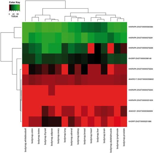 Example of combination of complex queries in DBATE. This heatmap reports expression values in the BodyMap panel of human tissues of splicing variants that encode for protein products containing the Pfam KH domain (PF00013), which are phosphorylated and contain repetitive units. The combination of this information can be easily obtained using the web interface of DBATE that returns in this case 10 different splicing variants that belong to genes ANKRD17, KHSRP, HNRNPK and ANKHD1. Their expression patterns show that splicing variants for these different proteins can have tissue-specific behaviors. The heatmap image is generated by an automated procedure using the statistical software R using the heatmap.2 function, and then loaded on the web interface as part of the results page. The color code of the heatmap ranges from red, lower FPKM values; to black, medium expression values; to green, higher expression values.