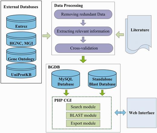 The data generation flow of the BGDB database.