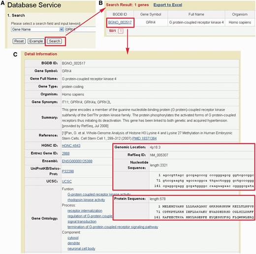 Representative screenshots of BGDB. (A) Users could input ‘GRK4’ for querying. (B) The results will be shown in a tabular format. Users could click on the BGDB ID (BGDB-002517) to view the detailed information. (C) The detailed information of bivalent gene GRK4. The nucleotide and protein sequence are also presented.