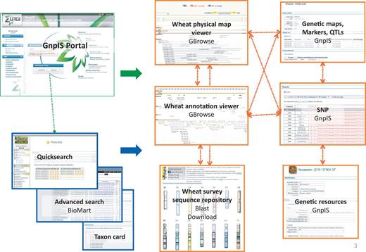 GnpIS wheat navigation.