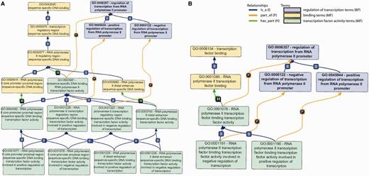 Primary GO terms/subgraphs used for DbTF annotation. (A) GO subgraph used for sequence-specific DbTF. In this graph, sequence-specific DNA binding MF terms (yellow), sequence-specific DNA binding TF activity MF terms (green) and transcription regulation BP (blue) are shown along with the relationships between terms in the graph structure. (B) GO subgraph used for transcription factor binding transcription factors. In this graph, the different color coding represents the following: TF binding MF terms (yellow), transcription regulation BP (blue) and TF binding TF activity MF terms (green). I, P and H on top of the lines stand for relationships ‘is_a’, ‘part_of’ and ‘has_part’.