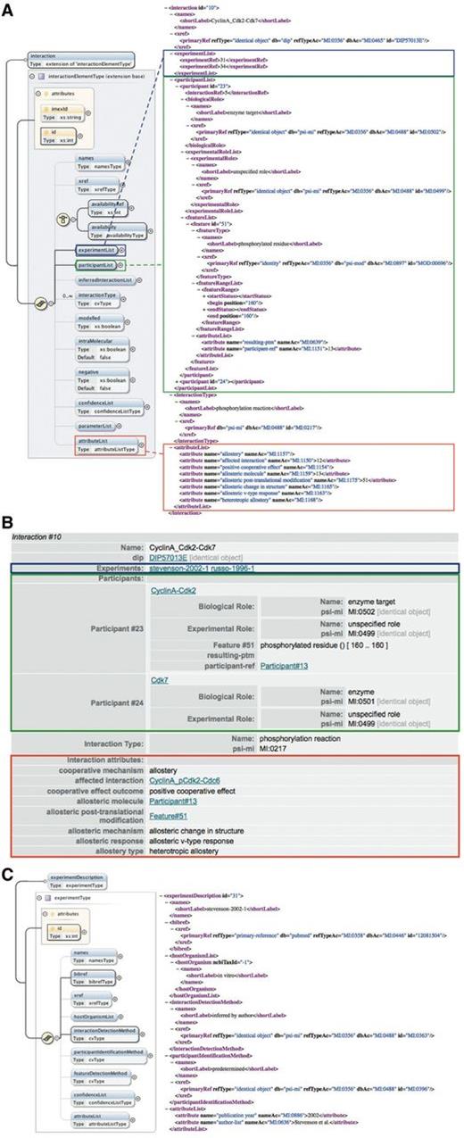Annotation of cooperative interactions in the PSI-MI XML format. (A) The interaction element in the PSI-MI XML schema (left) (generated using oXygen XML editor) and one interaction involved in the phosphorylation of Cdc6 by the Cyclin A-Cdk2 complex as annotated in the PSI-MI XML file (right). The experimentList, participantList and attributeList elements of the interaction element are indicated by blue, green and red boxes, respectively. Some elements (preceded by a plus sign) are collapsed for simplicity. (B) HTML rendering of the same interaction shown in the PSI-MI XML file. (C) The experimentDescription element in the PSI-MI XML schema (left) (generated using oXygen XML editor) and one experiment providing evidence for the cooperative effect of phosphorylation of Cdk2 on the catalysis of Cdc6 phosphorylation by Cdk2 as annotated in the PSI-MI XML file (right).