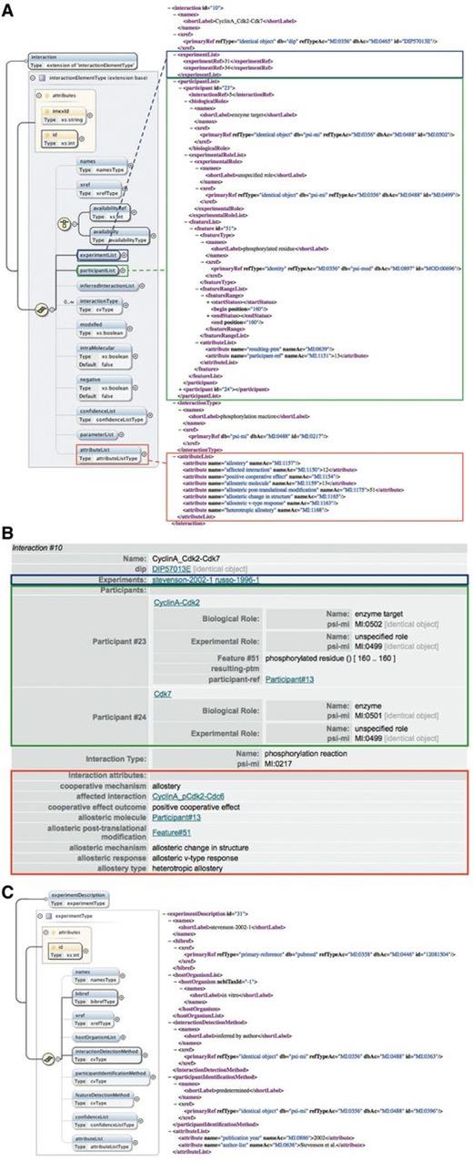 Annotation of cooperative interactions in the PSI-MI XML format. (A) The interaction element in the PSI-MI XML schema (left) (generated using oXygen XML editor) and one interaction involved in the phosphorylation of Cdc6 by the Cyclin A-Cdk2 complex as annotated in the PSI-MI XML file (right). The experimentList, participantList and attributeList elements of the interaction element are indicated by blue, green and red boxes, respectively. Some elements (preceded by a plus sign) are collapsed for simplicity. (B) HTML rendering of the same interaction shown in the PSI-MI XML file. (C) The experimentDescription element in the PSI-MI XML schema (left) (generated using oXygen XML editor) and one experiment providing evidence for the cooperative effect of phosphorylation of Cdk2 on the catalysis of Cdc6 phosphorylation by Cdk2 as annotated in the PSI-MI XML file (right).