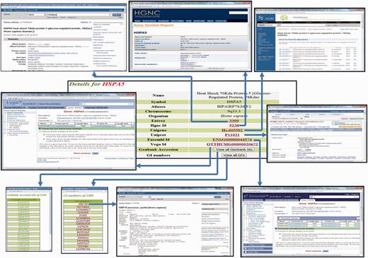 Screenshot showing the detailed protein page of HypoxiaDB. Screenshot showing the portion of the protein page, which enlists the details of the protein and cross-links HypoxiaDB to various other external databases.