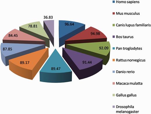 The top homologous species of proteins in HypoxiaDB.