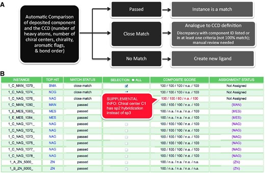 Batch Search Results Report for an entry that contains multiple chemical components (Step 2.1 of Figure 1). (A) The CCA Tool identifies and compares deposited ligands with the CCD in a batch mode, and reports the status (passed, close match or no match) of the comparison, which results in corresponding annotator action. (B) An example search results report that provides immediate information to the annotator about each chemical component instance found in the entry, and the closest match found in the CCD, as named in the ‘Top Hit’ column. In this example, the deposited entry has 14 chemical components, including two instances of alpha-d-mannose (MAN), eight instances of N-acetyl-beta-d-glucosamine (NAG), two instances of 2-(N-morpholino)-ethanesulfonic acid (MES) and two instances of zinc ions (ZN) as listed in the first column. The second column displays closest component matches found in the CCD. The report shown indicates that only the first three instances require further inspection, as the other instances in the deposited entry have corresponding definitions in the CCD. Matches that are similar but not identical can be initially evaluated with the use of the Composite Score column that represents the comparison of the instance with its Top Hit match in five categories: number of heavy atoms, number of chiral centers (independent of handedness), handedness of the chiral centers, number of aromatic atoms and bond order. In each category, each atom in the instance is compared against the Top Hit match in a binary way (match or no match). Then the number of matching atoms is divided by the number of total possible matches (i.e. the number of eligible atoms in the category) and is expressed as a percentage. Mousing over the Composite Score displays additional information in a pop-up window. In this example, the Composite Score does not reveal any chemical differences for the first two instances listed, which means that the only difference between the deposited instance and the top hit match is the CCD ID used. The annotator will then update the CCD ID used in the deposited entry. The third instance listed, 1_C_NAG_1076, has a score of 80% for the chiral center comparison, as one of the five chiral centers in NAG (chiral center C1) has sp2 hybridization rather than sp3 in the experimental coordinates.