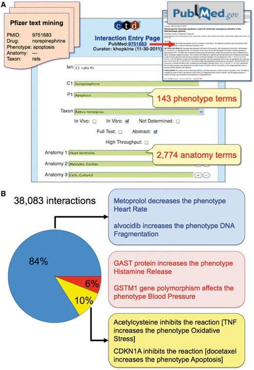 CTD’s phenotype curation module. (A) Pfizer provided CTD with 10 366 articles text mined for a drug-of-interest, phenotype, anatomy and taxon (orange file, upper-left corner). Biocurators entered each article’s PMID into the CTD Curation Tool and retrieved the PubMed abstract for curatorial review (red arrow and box, upper-right corner). Biocurators curated from just the abstract whenever possible, but examined the full text if necessary to resolve any relevant issues mentioned in the abstract. Drug–phenotype interactions were generated using CTD’s structured notation, codes and controlled vocabularies in the Curation Tool (blue panel). In this prototype, 143 phenotype terms and 2774 anatomy terms were available. Here, the biocurator coded an interaction (Ixn field) describing how the drug norepinephrine (C1 field) resulted in increased apoptosis (P1 field) using an in vitro system from rats (Taxon field) of cultured ventricular myocytes (Anatomy 1–3 fields). The Curation Tool validates terms entered by the biocurator in real-time, and the green color of the text boxes indicates the terms are valid for curation. (B) Examples of CTD’s curated phenotype interactions. Of the total 38 083 interactions, 84% describe chemical–phenotype interactions (blue box), 6% gene–phenotype interactions (red box) and 10% complex chemical–gene–phenotype interactions (yellow box).