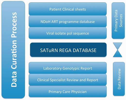 An example of the stages of data curation to increase the quality of the data in the SATuRN RegaDB. The primary data source includes the patient’s clinical information (e.g. viral load, CD4+ count and treatment regimens) that is stored in the patient file, access to National Department of Health ART program database that contains similar clinical information as the patient’s clinical information and the generation of a viral genomic isolate for the pol gene. These data are reviewed by a data curator and added to the database by a data enterer. A report is produced, which is further reviewed by at least one laboratory staff member, a clinical specialist and a physician managing the patient at the primary health care clinic. Any inconsistency on the data is discussed between the individuals reviewing the data and data curator.