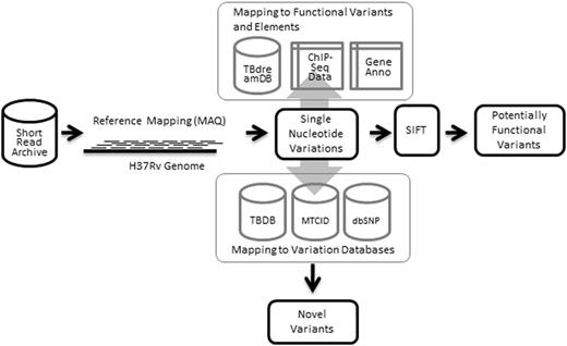 Workflow illustrating data sets and methodologies applied in building tbvar.