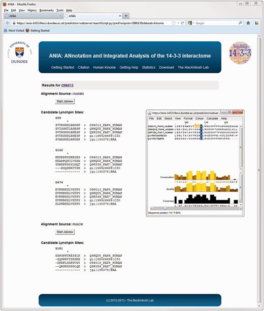 Advanced query results on ANIA. Example of prediction of candidate lynchpin and other 14-3-3-binding phosphosites for the protein kinase PAK4.