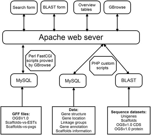 Architecture of the DBM-DB.