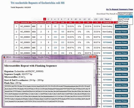  List of all tri-nucleotide microsatellites of E. coli HS genome along with a snapshot window of a particular microsatellite repeat along with its summary and flanking sequence. 