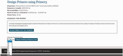 The primer design interface of MICAS3.0 using which the user can prepare the input sequence for primer design with a flanking sequence of his/her choice.